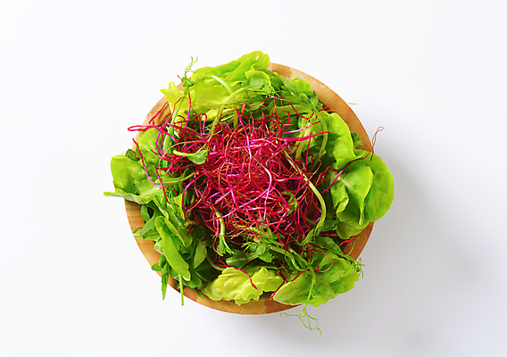 포토 JPG 해외이미지 스튜디오촬영 음식 잎 채소 재료 반찬 건강 사람없음 초록색 새싹 보라색 샐러드 신선 사발 상추 유기농 완두콩 머리위 반주 비트 채식주의자 비건 해외202004 해외202105 해외포토 식물 웰빙 컬러 콩 실내 사기그릇 채식 파일형식