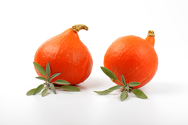 포토 JPG 해외이미지 스튜디오촬영 잎 호박 사람없음 작음 흰배경 세이지 해외202004 해외202105 해외포토 식물 백그라운드 채소 실내 흰색 크기 파일형식