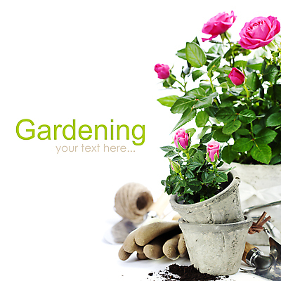 포토 JPG 해외이미지 화분 장갑 실내 사람없음 장미 흙 모종삽 흰배경 원예 노끈 해외202004 해외포토 잡화 꽃 줄 백그라운드 취미 내부 흰색 삽 파일형식