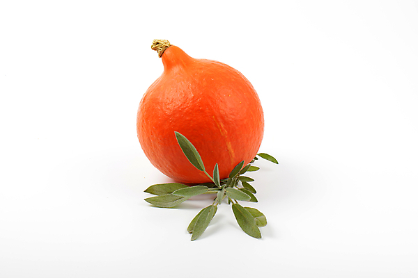 포토 JPG 해외이미지 스튜디오촬영 음식 채소 오렌지 호박 사람없음 장식 할로윈 가을 신선 원형 작음 흰배경 유기농 날것 박 추수감사절 국산 스쿼시 숙성 식용 해외202004 해외202105 해외포토 도형 웰빙 계절 기독교 스포츠 백그라운드 과일 실내 구기 흰색 크기 파일형식