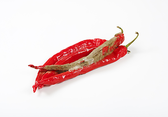 포토 JPG 해외이미지 스튜디오촬영 음식 채소 사람없음 빨간색 회색 흰배경 유기농 날것 나쁜 썩음 해외202004 해외202105 해외포토 웰빙 컬러 백그라운드 실내 흰색 파일형식