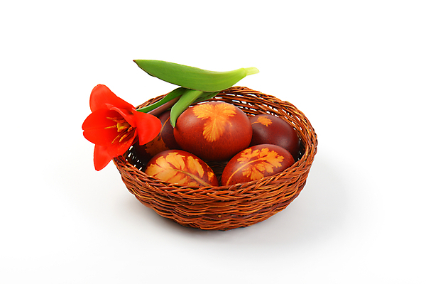 포토 JPG 해외이미지 스튜디오촬영 전통 디자인 꽃 음식 꽃무늬 패턴 휴가 부활절 요리 사람없음 장식 빨간색 갈색 바구니 봄 튤립 껍질 화려 그리기 그룹 심볼 흰배경 에코 친환경 부활절계란 내추럴 삶기 핸드메이드 해외202004 해외202105 해외포토 식물 계절 기념일 컬러 백그라운드 컨셉 무늬 모션 실내 환경 계란 흰색 파일형식