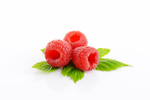 포토 JPG 해외이미지 스튜디오촬영 잎 사람없음 신선 흰배경 산딸기 해외202004 해외202105 해외포토 식물 백그라운드 과일 실내 흰색 파일형식