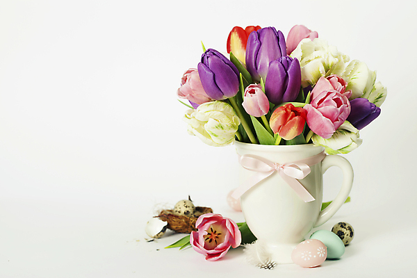 포토 JPG 해외이미지 사람없음 꽃병 튤립 둥지 흰배경 부활절계란 카피스페이스 해외202004 해외포토 꽃 백그라운드 부활절 계란 공백 흰색 파일형식