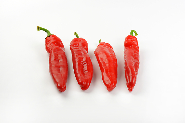 포토 JPG 해외이미지 고추 실내 사람없음 흰배경 해외202004 해외202105 해외포토 백그라운드 채소 내부 흰색 파일형식