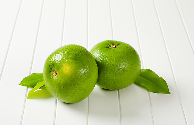 포토 JPG 해외이미지 스튜디오촬영 잎 귤 사람없음 신선 흰배경 청귤 해외202105 해외포토 식물 백그라운드 과일 실내 흰색 파일형식