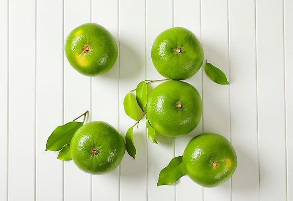 포토 JPG 해외이미지 스튜디오촬영 잎 귤 사람없음 신선 달콤 흰배경 청귤 해외202105 해외포토 식물 백그라운드 과일 실내 흰색 맛 파일형식