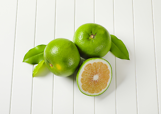 포토 JPG 해외이미지 스튜디오촬영 잎 귤 사람없음 신선 달콤 흰배경 청귤 해외202105 해외포토 식물 백그라운드 과일 실내 흰색 맛 파일형식