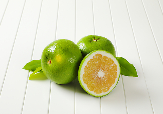 포토 JPG 해외이미지 스튜디오촬영 잎 귤 사람없음 신선 달콤 흰배경 청귤 해외202105 해외포토 식물 백그라운드 과일 실내 흰색 맛 파일형식