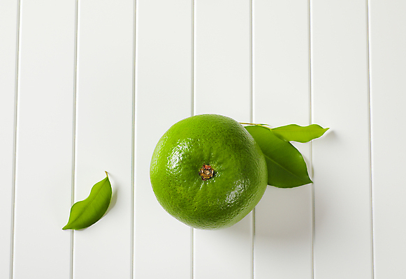 포토 JPG 해외이미지 스튜디오촬영 잎 귤 사람없음 신선 달콤 흰배경 청귤 해외202105 해외포토 식물 백그라운드 과일 실내 흰색 맛 파일형식