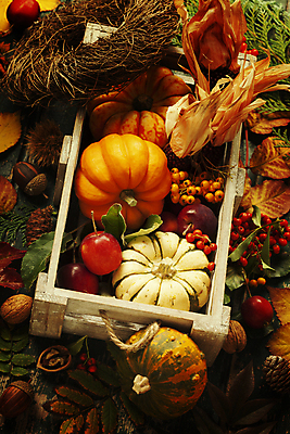 포토 JPG 해외이미지 열매 호박 실내 사람없음 농작물 가을 사과 나무상자 호두 솔방울 해외202004 해외포토 식물 계절 농업 채소 과일 내부 상자 견과류 파일형식