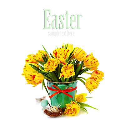 포토 JPG 해외이미지 리본 화분 꽃다발 부활절 실내 타이포그라피 사람없음 튤립 둥지 흰배경 부활절계란 메추리알 카피스페이스 해외202004 해외포토 문자 기념일 꽃 백그라운드 내부 계란 알 공백 흰색 파일형식