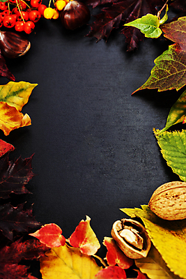 포토 JPG 해외이미지 낙엽 검은배경 사람없음 하이앵글 가을 호두 호랑가시나무열매 카피스페이스 해외202004 해외포토 계절 열매 뷰포인트 백그라운드 잎 검은색 공백 견과류 파일형식