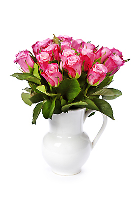 포토 JPG 해외이미지 실내 사람없음 장미 꽃병 흰배경 담기 해외202004 해외포토 꽃 백그라운드 모션 내부 흰색 파일형식