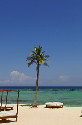 포토 JPG 해외이미지 모래 파도 바다 섬 여행 자연 하늘 휴가 휴식 열대 멕시코 풍경 사람없음 야외 목재 물 여름 파란색 야자수 쌓기 평화 우주 항구 침묵 낭만 전원 휴양지 유카탄 이국적 칸쿤 터키석 파라다이스 수평선 해외202004 해외202105 해외포토 자연요소 나무 계절 컬러 컨셉 북아메리카 재료 교통시설 모션 소리 장소 전기에너지 보석 생태계 파일형식