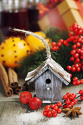 포토 JPG 해외이미지 크리스마스장식 크리스마스 사람없음 아웃포커스 선물상자 체리 새장 나무탁자 시나몬스틱 호랑가시나무열매 오너먼트 해외202004 팔각회향 해외포토 기념일 열매 과일 탁자 촬영기법 선물 상자 향신료 시나몬 케이지 파일형식