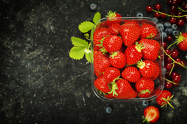 포토 JPG 해외이미지 꽃 딸기 검은배경 실내 사람없음 하이앵글 담기 블루베리 베리 플라스틱통 카피스페이스 딸기잎 해외202004 해외포토 식물 뷰포인트 백그라운드 잎 과일 모션 통 내부 검은색 공백 플라스틱 파일형식