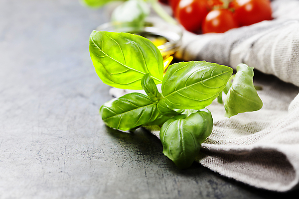 포토 JPG 해외이미지 방울토마토 회색배경 실내 사람없음 아웃포커스 올리브오일 바질 해외202004 해외포토 백그라운드 토마토 촬영기법 내부 회색 기름_음식 파일형식