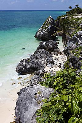 포토 JPG 해외이미지 나무 구름 모래 파도 바다 여행 자연 휴가 멕시코 따뜻함 손바닥 풍경 사람없음 초록색 물 여름 파란색 태양 평화 맑음 흰색 뜨거움 휴양지 암초 유카탄 마야 고립 이국적 칸쿤 터키석 파라다이스 수평선 해외202004 해외202105 해외포토 자연요소 식물 손 계절 컬러 컨셉 북아메리카 날씨 장소 보석 생태계 마야문명 파일형식