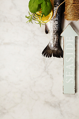 포토 JPG 해외이미지 화살표 식재료 실내 어류 사람없음 하이앵글 레몬 해산물 흰배경 대리석 바질 노끈 로즈메리 무지개송어 카피스페이스 해외202004 해외포토 줄 뷰포인트 백그라운드 과일 재료 내부 수중동물 공백 흰색 허브 송어 파일형식