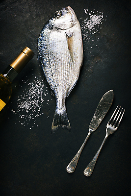 포토 JPG 해외이미지 포크 검은배경 실내 어류 사람없음 하이앵글 와인 나이프 해산물 소금 해외202004 해외포토 식기 뷰포인트 백그라운드 주류 내부 검은색 수중동물 칼 파일형식