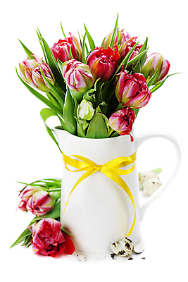 포토 JPG 해외이미지 리본 꽃다발 부활절 실내 사람없음 꽃병 튤립 흰배경 메추리알 알껍데기 해외202004 해외포토 기념일 꽃 백그라운드 내부 알 흰색 파일형식