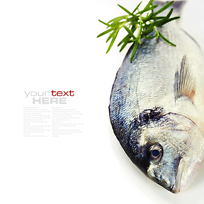 포토 JPG 해외이미지 식재료 실내 어류 타이포그라피 사람없음 레몬 해산물 흰배경 로즈메리 황새치 카피스페이스 해외202004 해외포토 문자 백그라운드 과일 내부 수중동물 공백 흰색 허브 파일형식 새치