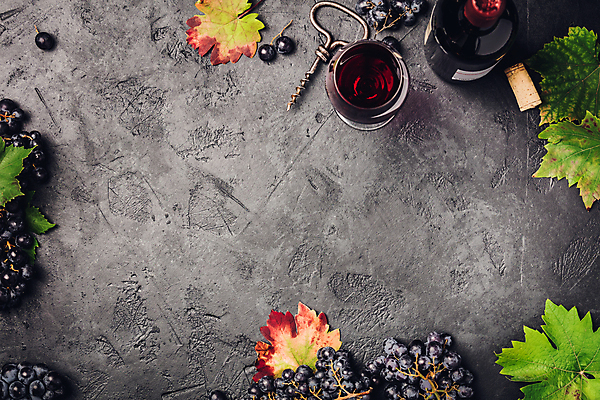 포토 JPG 해외이미지 배너 백그라운드 포도 사람없음 와인 와인오프너 해외202004 해외포토 과일 주류 병따개 파일형식