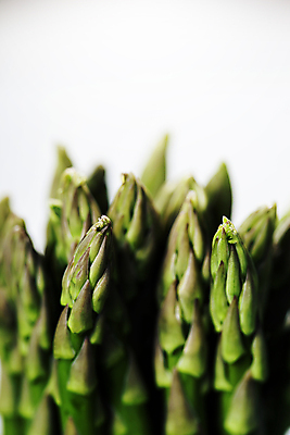 포토 JPG 해외이미지 실내 근접촬영 사람없음 아웃포커스 흰배경 아스파라거스 해외202004 해외포토 뷰포인트 백그라운드 채소 촬영기법 내부 흰색 파일형식