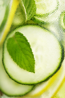 포토 JPG 해외이미지 음료 오이 근접촬영 사람없음 물 레몬 민트 디톡스 해외202004 해외포토 자연요소 뷰포인트 채소 과일 건강 허브 파일형식