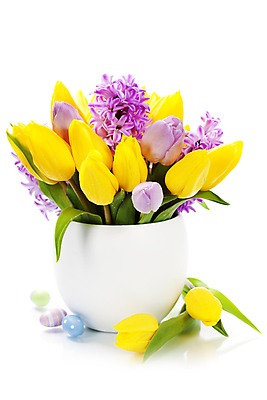 포토 JPG 해외이미지 봄꽃 부활절 실내 사람없음 꽃병 튤립 흰배경 부활절계란 히아신스 해외202004 해외포토 기념일 꽃 백그라운드 내부 계란 봄 흰색 파일형식