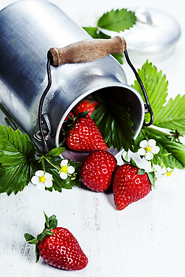 포토 JPG 해외이미지 꽃 딸기 실내 사람없음 뚜껑 흰배경 쏟아짐 양철통 딸기잎 해외202004 해외포토 식물 백그라운드 잎 과일 모션 내부 흰색 파일형식