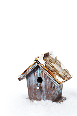 포토 JPG 해외이미지 사람없음 눈 흰배경 새장 카피스페이스 해외202004 해외포토 자연요소 백그라운드 날씨 공백 흰색 케이지 파일형식