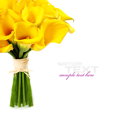 포토 JPG 해외이미지 꽃다발 실내 타이포그라피 사람없음 카라 흰배경 칼라꽃 카피스페이스 해외202004 해외포토 문자 꽃 백그라운드 내부 공백 흰색 파일형식