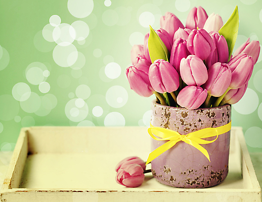 포토 JPG 해외이미지 리본 화분 꽃다발 실내 사람없음 튤립 보케 빛망울 나무쟁반 블러효과 초록배경 해외202004 해외포토 꽃 백그라운드 쟁반 내부 목재 초록색 빛 블러 파일형식 효과