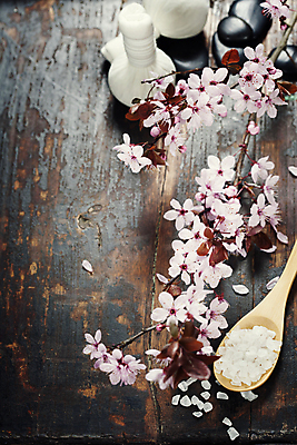 포토 JPG 해외이미지 꽃잎 실내 사람없음 벚꽃 나무바닥 스파용품 아로마테라피 나무숟가락 스톤 꽃가지 허브볼 입욕소금 해외202004 해외포토 꽃 바닥 내부 숟가락 스파 나뭇가지 미용용품 오브젝트 소금 테라피 파일형식