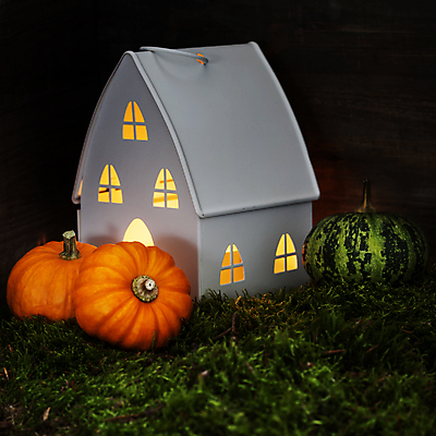 포토 JPG 해외이미지 호박 검은배경 실내 잔디 사람없음 농작물 가을 건축모형 해외202004 해외포토 식물 계절 백그라운드 농업 채소 내부 모형 검은색 파일형식