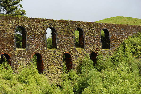 포토 JPG 해외이미지 주간 식물 꽃 유럽 자연 풍경 사람없음 야외 햇빛 습기 포르투갈 그림 아치 내추럴 수도교 해외202004 해외202105 해외포토 자연요소 나라 태양 다리_건축물 생태계 파일형식