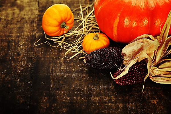 포토 JPG 해외이미지 호박 실내 사람없음 농작물 가을 볏짚 추수감사절 나무탁자 흑찰옥수수 해외202004 해외포토 계절 기독교 농업 채소 탁자 내부 짚 찰옥수수 파일형식