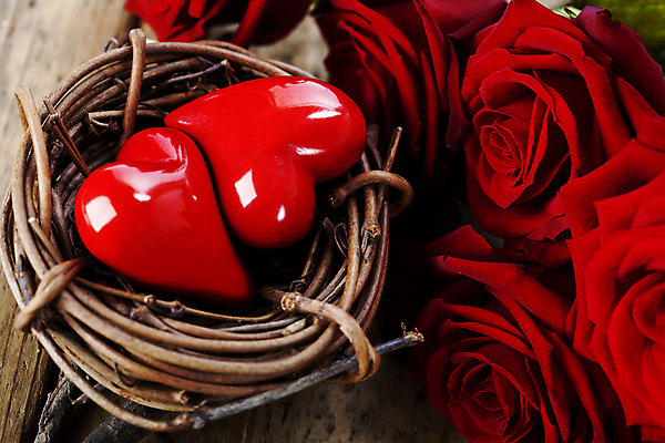 포토 JPG 해외이미지 실내 발렌타인데이 사랑 사람없음 장미 하트 둥지 오브젝트 나무바닥 해외202004 해외포토 모양 꽃 감정 데이이벤트 바닥 내부 파일형식