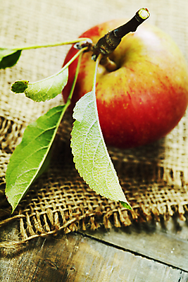 포토 JPG 해외이미지 잎 실내 사람없음 한개 신선 사과 삼베 나무바닥 해외202004 해외포토 식물 1 과일 바닥 내부 파일형식 천_직물