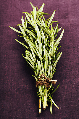 포토 JPG 해외이미지 실내 사람없음 다발 허브 노끈 로즈메리 보라색배경 해외202004 해외포토 식물 줄 백그라운드 내부 보라색 파일형식