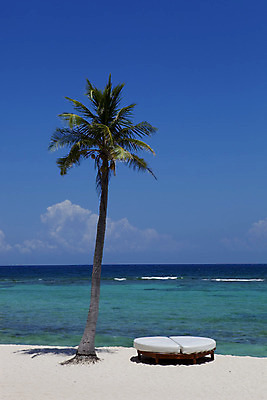 포토 JPG 해외이미지 나무 구름 모래 파도 바다 여행 자연 휴가 멕시코 따뜻함 손바닥 풍경 사람없음 초록색 물 여름 파란색 태양 평화 맑음 흰색 뜨거움 휴양지 암초 유카탄 마야 고립 이국적 칸쿤 터키석 파라다이스 수평선 해외202004 해외202105 해외포토 자연요소 식물 손 계절 컬러 컨셉 북아메리카 날씨 장소 보석 생태계 마야문명 파일형식