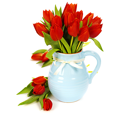 포토 JPG 해외이미지 리본 꽃다발 사람없음 꽃병 튤립 흰배경 해외202004 해외포토 꽃 백그라운드 흰색 파일형식