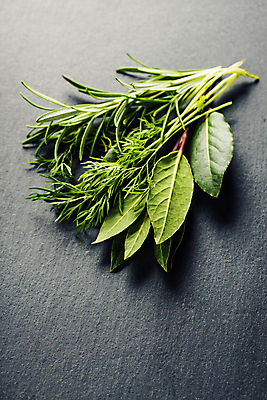 포토 JPG 해외이미지 회색배경 실내 사람없음 허브 로즈메리 해외202004 해외포토 식물 백그라운드 내부 회색 파일형식