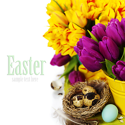 포토 JPG 해외이미지 화분 부활절 실내 타이포그라피 사람없음 튤립 껍질 둥지 깃털 흰배경 부활절계란 메추리알 카피스페이스 해외202004 해외포토 문자 기념일 꽃 백그라운드 내부 계란 알 공백 흰색 파일형식