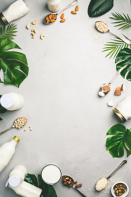 포토 JPG 해외이미지 접시 잎 프레임 실내 사람없음 숟가락 우유 견과류 우유병 흰배경 호두 코코넛 아몬드 대두 카피스페이스 귀리 해외202004 해외포토 식물 식기 백그라운드 과일 병_용기 유제품 곡류 수저 내부 공백 흰색 파일형식