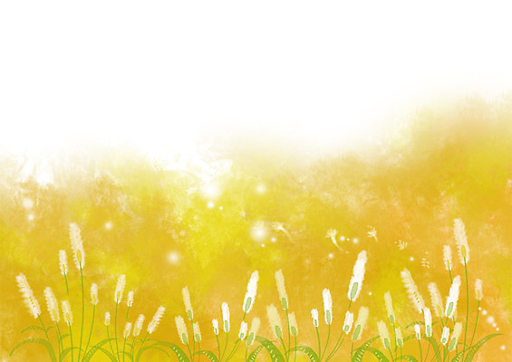 PSD 식물 사계절 계절 백그라운드 일러스트 자연 사람없음 여름 풀 계절백그라운드 강아지풀 국내일러스트 생태계 한해살이풀 파일형식