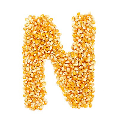 포토 스튜디오촬영 문자 알파벳 영어 대문자 실내 누끼 사람없음 과자 N 옥수수알갱이 국내포토 디저트 옥수수 내부 파일형식