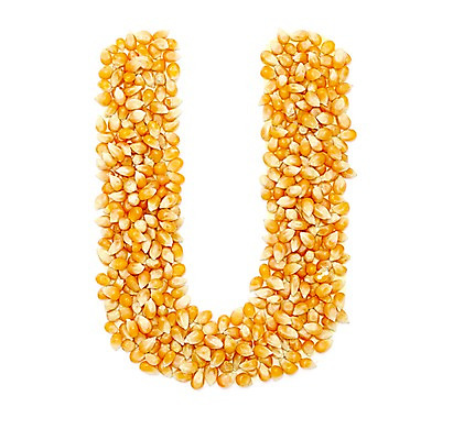 포토 스튜디오촬영 문자 알파벳 영어 대문자 실내 누끼 사람없음 U 옥수수알갱이 국내포토 옥수수 내부 파일형식